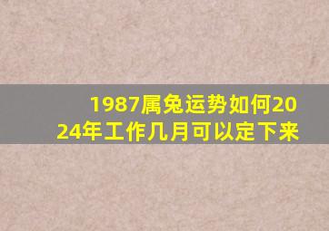 1987属兔运势如何2024年工作几月可以定下来