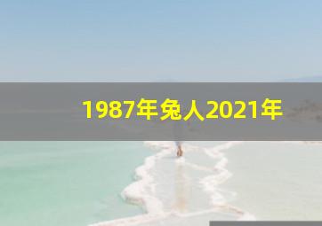 1987年兔人2021年