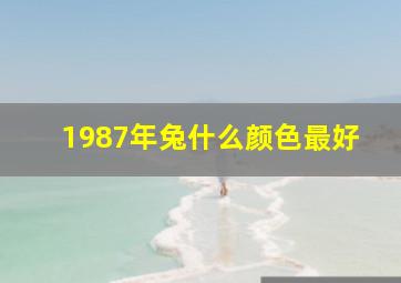 1987年兔什么颜色最好