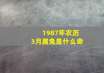 1987年农历3月属兔是什么命