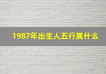 1987年出生人五行属什么