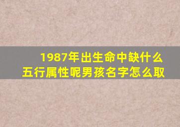 1987年出生命中缺什么五行属性呢男孩名字怎么取