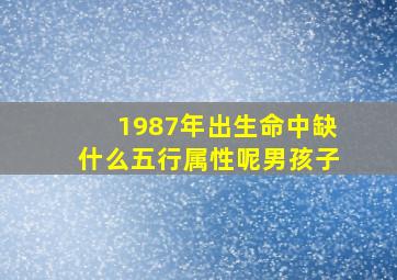 1987年出生命中缺什么五行属性呢男孩子