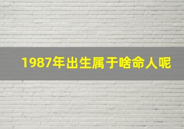 1987年出生属于啥命人呢