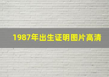 1987年出生证明图片高清