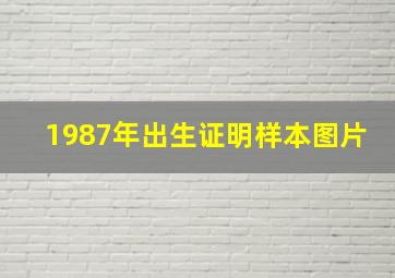 1987年出生证明样本图片