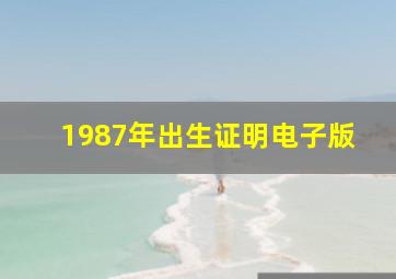 1987年出生证明电子版