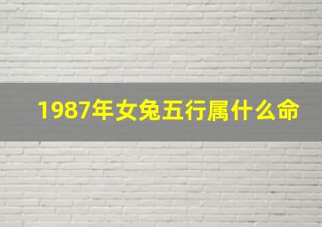 1987年女兔五行属什么命