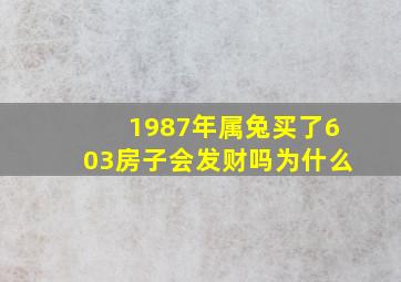 1987年属兔买了603房子会发财吗为什么