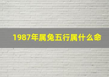 1987年属兔五行属什么命