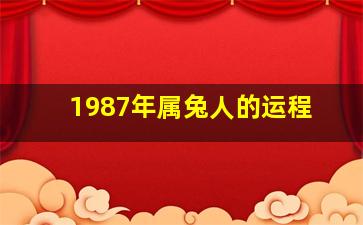 1987年属兔人的运程