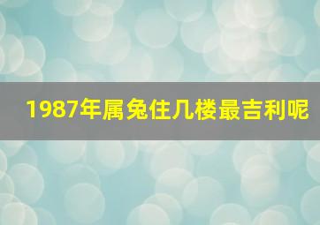 1987年属兔住几楼最吉利呢