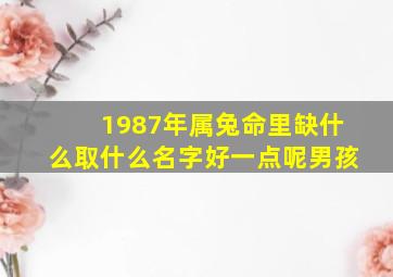 1987年属兔命里缺什么取什么名字好一点呢男孩