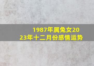 1987年属兔女2023年十二月份感情运势