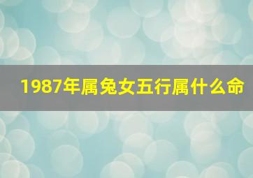 1987年属兔女五行属什么命