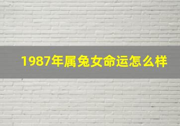 1987年属兔女命运怎么样