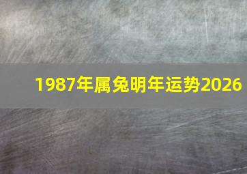 1987年属兔明年运势2026