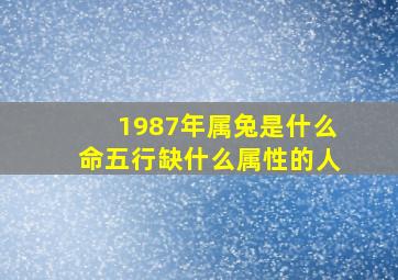 1987年属兔是什么命五行缺什么属性的人