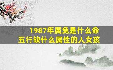 1987年属兔是什么命五行缺什么属性的人女孩