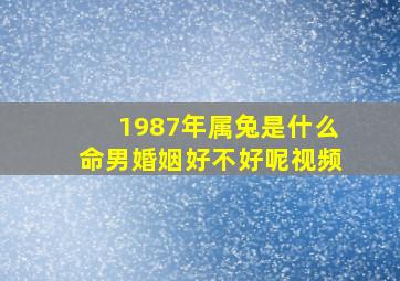 1987年属兔是什么命男婚姻好不好呢视频