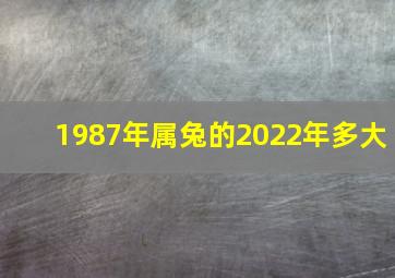 1987年属兔的2022年多大