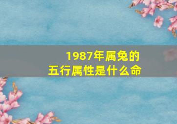 1987年属兔的五行属性是什么命