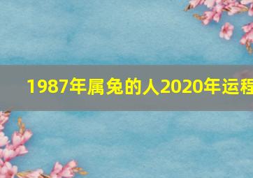 1987年属兔的人2020年运程