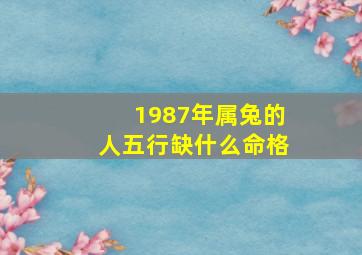 1987年属兔的人五行缺什么命格