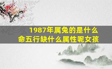 1987年属兔的是什么命五行缺什么属性呢女孩