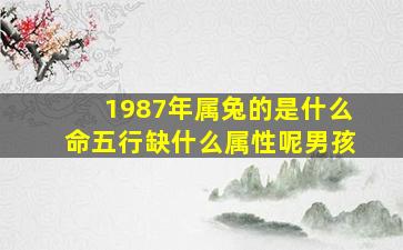 1987年属兔的是什么命五行缺什么属性呢男孩