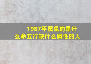 1987年属兔的是什么命五行缺什么属性的人