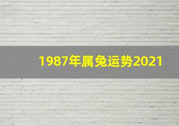 1987年属兔运势2021