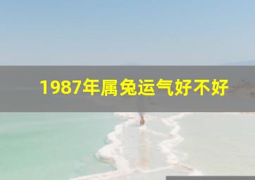 1987年属兔运气好不好