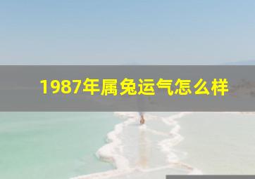 1987年属兔运气怎么样