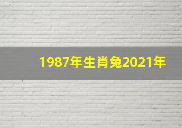 1987年生肖兔2021年