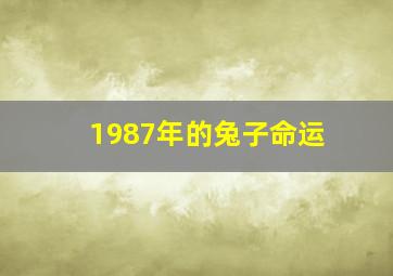 1987年的兔子命运