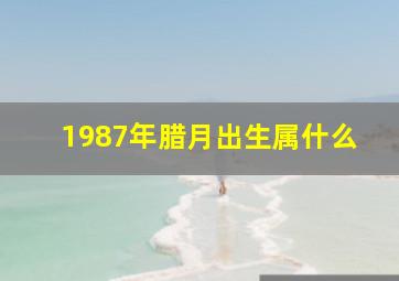 1987年腊月出生属什么