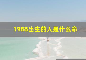 1988出生的人是什么命