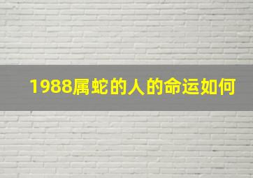 1988属蛇的人的命运如何