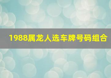 1988属龙人选车牌号码组合