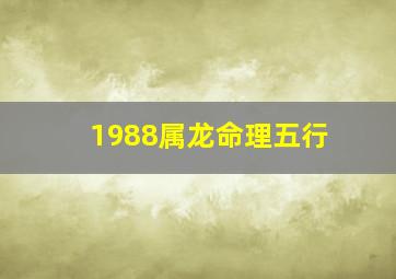 1988属龙命理五行