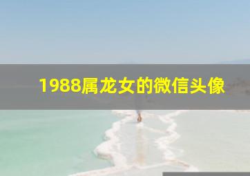 1988属龙女的微信头像