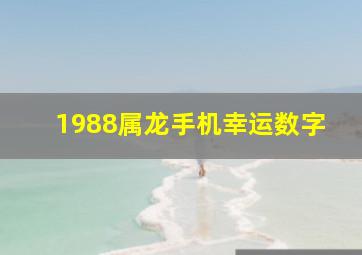 1988属龙手机幸运数字