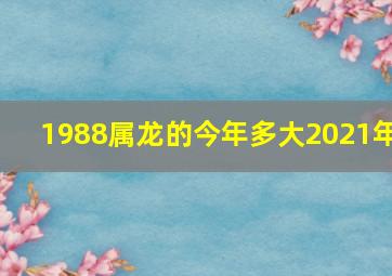 1988属龙的今年多大2021年