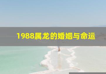 1988属龙的婚姻与命运