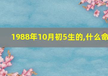 1988年10月初5生的,什么命