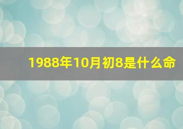 1988年10月初8是什么命