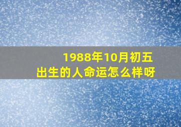 1988年10月初五出生的人命运怎么样呀