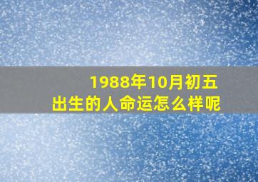 1988年10月初五出生的人命运怎么样呢