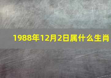 1988年12月2日属什么生肖